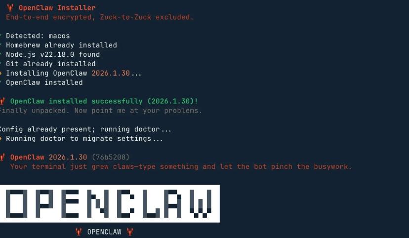 OpenClaw Install Process