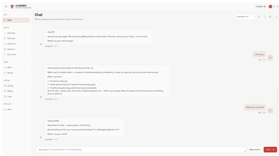 Launch Clawdbot and start chatting